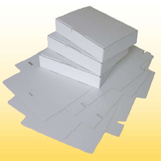 500 Maxibrief Karton 175 mm x 120 mm x 50 mm, weiss